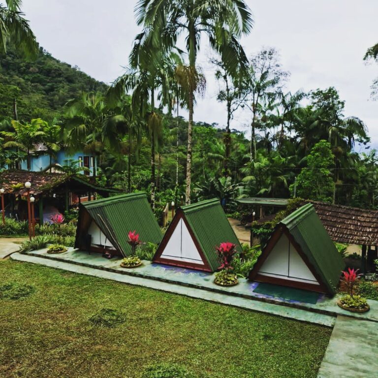 WhatsApp Image 2025-10-02 at 07.20.50 (1)